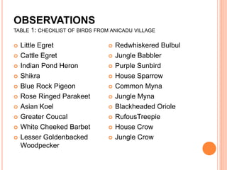 OBSERVATIONS
TABLE 1: CHECKLIST OF BIRDS FROM ANICADU VILLAGE
 Little Egret
 Cattle Egret
 Indian Pond Heron
 Shikra
 Blue Rock Pigeon
 Rose Ringed Parakeet
 Asian Koel
 Greater Coucal
 White Cheeked Barbet
 Lesser Goldenbacked
Woodpecker
 Redwhiskered Bulbul
 Jungle Babbler
 Purple Sunbird
 House Sparrow
 Common Myna
 Jungle Myna
 Blackheaded Oriole
 RufousTreepie
 House Crow
 Jungle Crow
 