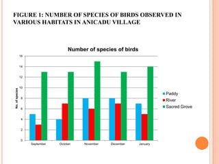 FIGURE 1: NUMBER OF SPECIES OF BIRDS OBSERVED IN
VARIOUS HABITATS IN ANICADU VILLAGE
0
2
4
6
8
10
12
14
16
September October November December January
No.ofspecies
Number of species of birds
Paddy
River
Sacred Grove
 