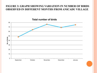 FIGURE 3: GRAPH SHOWING VARIATION IN NUMBER OF BIRDS
OBSERVED IN DIFFERENT MONTHS FROM ANICADU VILLAGE
0
10
20
30
40
50
60
70
80
September October November December January
No.ofbirds
Total number of birds
 