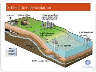 Schematic representation
 