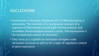 STRUCTURAL HIERARCHY OF
CHROMOSOME
• In the first level of compaction, short stretches of the DNA double
helix wrap around...