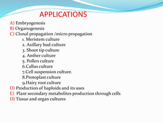 APPLICATIONS
A) Embryogenesis
B) Organogenesis
C) Clonal propagation /micro propagation
1. Meristem culture
2. Axillary bud culture
3. Shoot tip culture
4. Anther culture
5. Pollen culture
6.Callus culture
7.Cell suspension culture.
8.Protoplast culture
9.Hairy root culture
D) Production of haploids and its uses
E) Plant secondary metabolites production through cells
D) Tissue and organ cultures
 