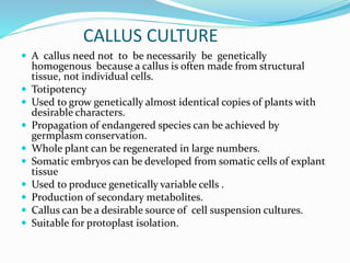 CALLUS CULTURE
 A callus need not to be necessarily be genetically
homogenous because a callus is often made from structural
tissue, not individual cells.
 Totipotency
 Used to grow genetically almost identical copies of plants with
desirable characters.
 Propagation of endangered species can be achieved by
germplasm conservation.
 Whole plant can be regenerated in large numbers.
 Somatic embryos can be developed from somatic cells of explant
tissue
 Used to produce genetically variable cells .
 Production of secondary metabolites.
 Callus can be a desirable source of cell suspension cultures.
 Suitable for protoplast isolation.
 