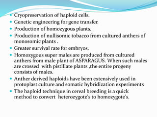  Cryopreservation of haploid cells.
 Genetic engineering for gene transfer.
 Production of homozygous plants.
 Production of nullisomic tobacco from cultured anthers of
monosomic plants .
 Greater survival rate for embryos.
 Homozygous super males are produced from cultured
anthers from male plant of ASPARAGUS. When such males
are crossed with pistillate plants ,the entire progeny
consists of males.
 Anther derived haploids have been extensively used in
protoplast culture and somatic hybridization experiments
 The haploid technique in cereal breeding is a quick
method to convert heterozygote's to homozygote's.
 
