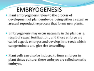 EMBRYOGENESIS
 Plant embryogenesis refers to the process of
development of plant embryos ,being either a sexual or
asexual reproductive process that forms new plants.
 Embryogenesis may occur naturally in the plant as a
result of sexual fertilization , and those embryo are
called zygotic embryos and develop in to seeds which
can germinate and give rise to seedling.
 Plant cells can also be induced to form embryos in
plant tissue culture, these embryos are called somatic
embryos.
 