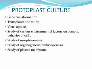 PROTOPLAST CULTURE
 Gene transformation.
 Transplantation study.
 Virus uptake.
 Study of various environmental factors on osmotic
behavior of cell .
 Study of morphogenesis.
 Study of organogenesis/embryogenesis.
 Study of plasma membrane.
 