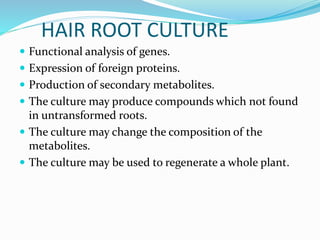 HAIR ROOT CULTURE
 Functional analysis of genes.
 Expression of foreign proteins.
 Production of secondary metabolites.
 The culture may produce compounds which not found
in untransformed roots.
 The culture may change the composition of the
metabolites.
 The culture may be used to regenerate a whole plant.
 