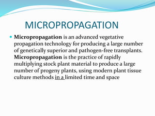 MICROPROPAGATION
 Micropropagation is an advanced vegetative
propagation technology for producing a large number
of genetically superior and pathogen-free transplants.
Micropropagation is the practice of rapidly
multiplying stock plant material to produce a large
number of progeny plants, using modern plant tissue
culture methods in a limited time and space
 