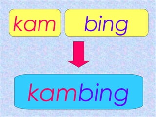 kam bing
kambing
 