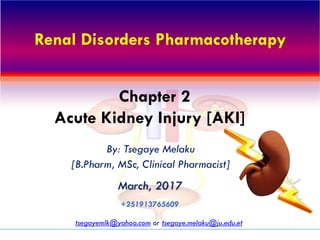 Renal Disorders Pharmacotherapy
By: Tsegaye Melaku
[B.Pharm, MSc, Clinical Pharmacist]
March, 2017
tsegayemlk@yahoo.com or tsegaye.melaku@ju.edu.et
+251913765609
Chapter 2
Acute Kidney Injury [AKI]
 