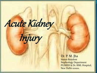 Acute Kidney
Injury
Dr. P. M. Jha
Senior Resident
Nephrology Department
PGIMER & Dr. RML Hospital,
New Delhi-110001.
 