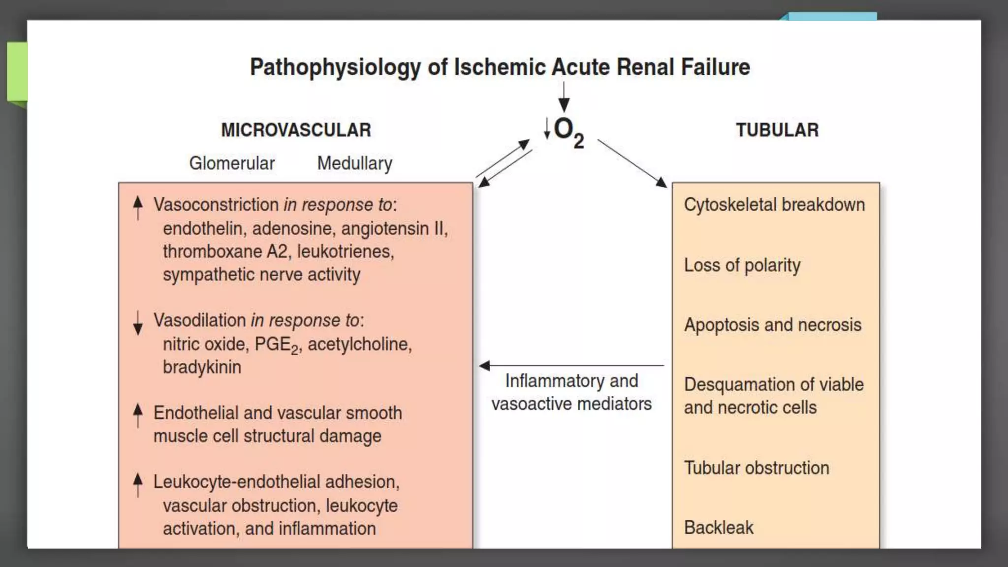 ACUTE KIDNEY INJURY / ACUTE RENAL FAILURE | PPTX