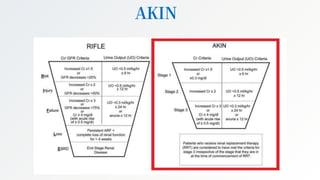 Acute kindey injury (definition, pathophysiology and management) | PPTX