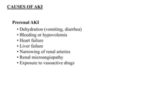 CAUSES OF AKI
Prerenal AKI
• Dehydration (vomiting, diarrhea)
• Bleeding or hypovolemia
• Heart failure
• Liver failure
• Narrowing of renal arteries
• Renal microangiopathy
• Exposure to vasoactive drugs
 