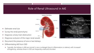 Role of Renal Ultrasound in AKI
 Delineate renal size
 Survey the renal parenchyma
 Diagnose urinary tract obstruction
 Diagnose occlusion of the major renal vessels
 Document the presence of one or two kidneys
 Differentiating AKI from CKD
 Typically, the kidneys in AKI are normal in size or enlarged (due to inflammation or edema), with increased
echogenicity, whereas those in CKD are frequently small and shrunken
 