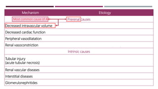 Mechanism Etiology
Prerenal causes
Decreased intravascular volume Dehydration, hemorrhage, burns, shock, nephrotic syndrome
Decreased cardiac function Heart failure
Peripheral vasodilatation Sepsis, anaphylaxis, antihypertensive medication
Renal vasoconstriction Sepsis, nonsteroidal anti-inflammatory drugs, ACE inhibitor
Intrinsic causes
Tubular injury
(acute tubular necrosis)
Prolonged ischemia, nephrotoxins, hypotension, sepsis
Renal vascular diseases Hemolytic uremic syndrome, vasculitides, thrombosis
Interstitial diseases Interstitial nephritis, infections
Glomerulonephritides PIGN, RPGN, HSP
Most common cause of AKI
 