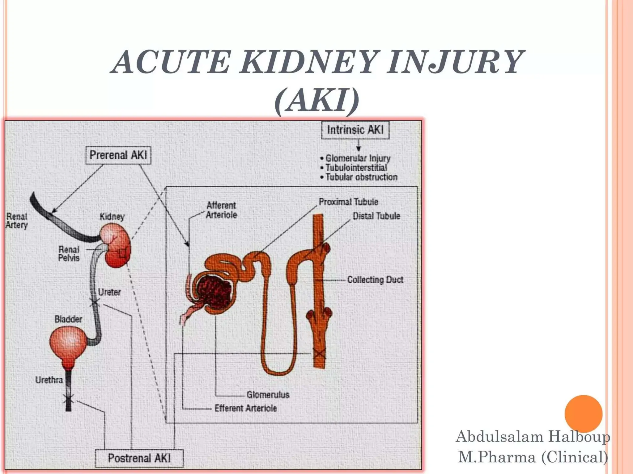 AKI.pptx9999999999999999999999999999999999999999