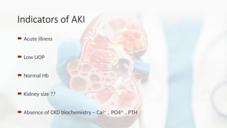 Acute Kidney Injury - Clinical pearls.pptx