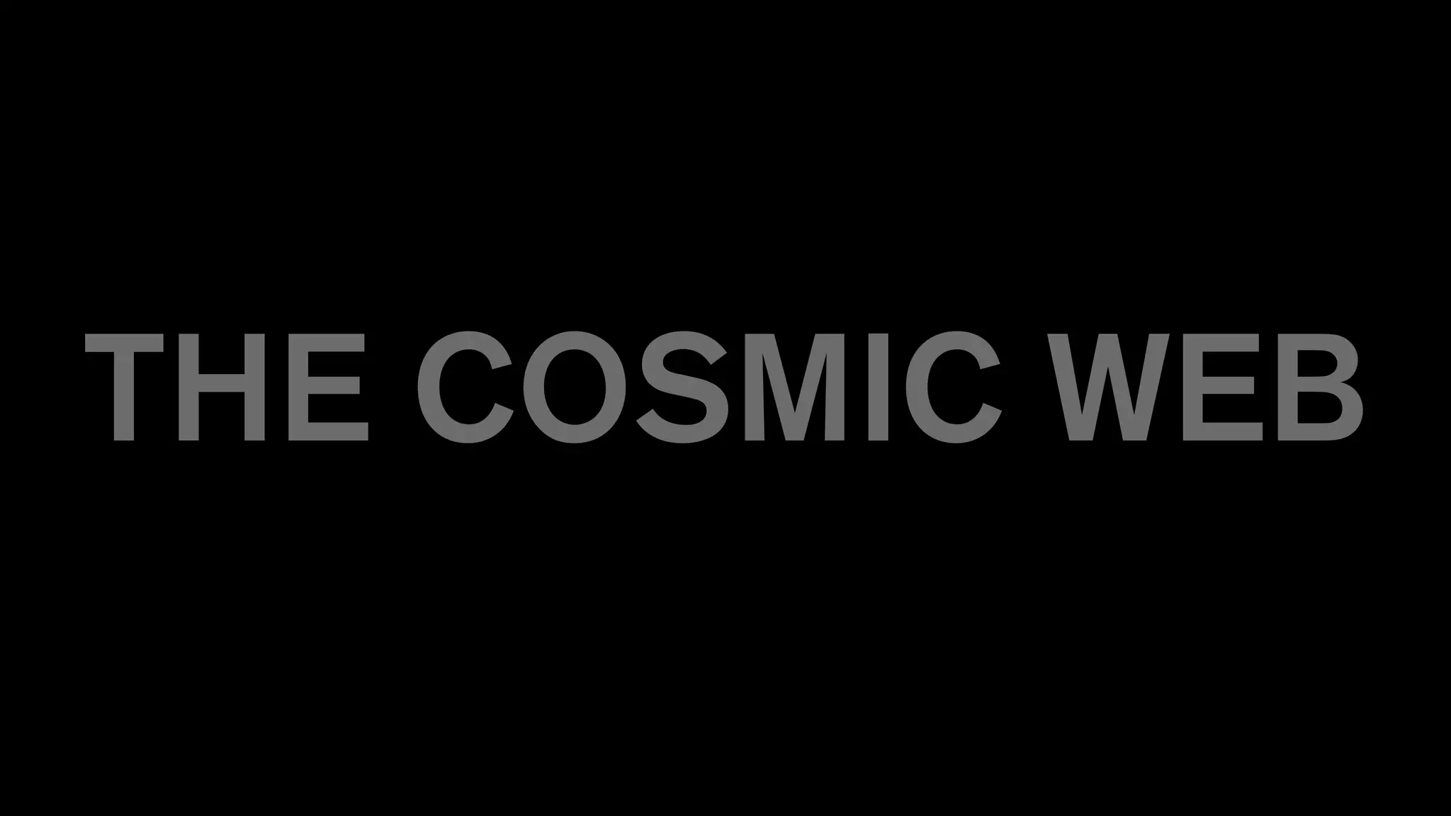 THE COSMIC WEB
 