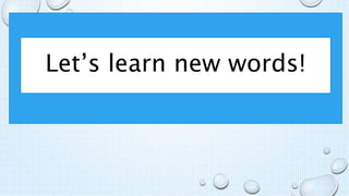 Let’s learn new words!
 