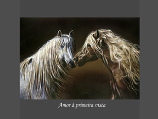 Amor à primeira vista 