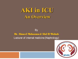 AKI in ICUAKI in ICU
An OverviewAn Overview
By
Dr. Ahmed Mohammed Abd El Wahab
Lecturer of internal medicine(Nephrology)
 