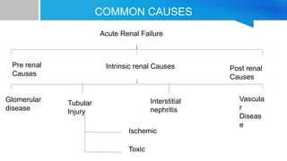 COMMON CAUSES
Acute Renal Failure
Pre renal
Causes
Intrinsic renal Causes Post renal
Causes
Glomerular
disease
Tubular
Injury
Interstitial
nephritis
Vascula
r
Diseas
e
Ischemic
Toxic
 
