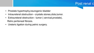 Post renal ca
• Prostate hypertrophy,neurogenic bladder
• Intraureteral obstruction - crystals stones,clots,tumor.
• Extraureteral obstruction - tumor ( cervical,prostate),
Retro peritoneal fibrosis.
• Ureteric ligation during pelvic surgery.
 