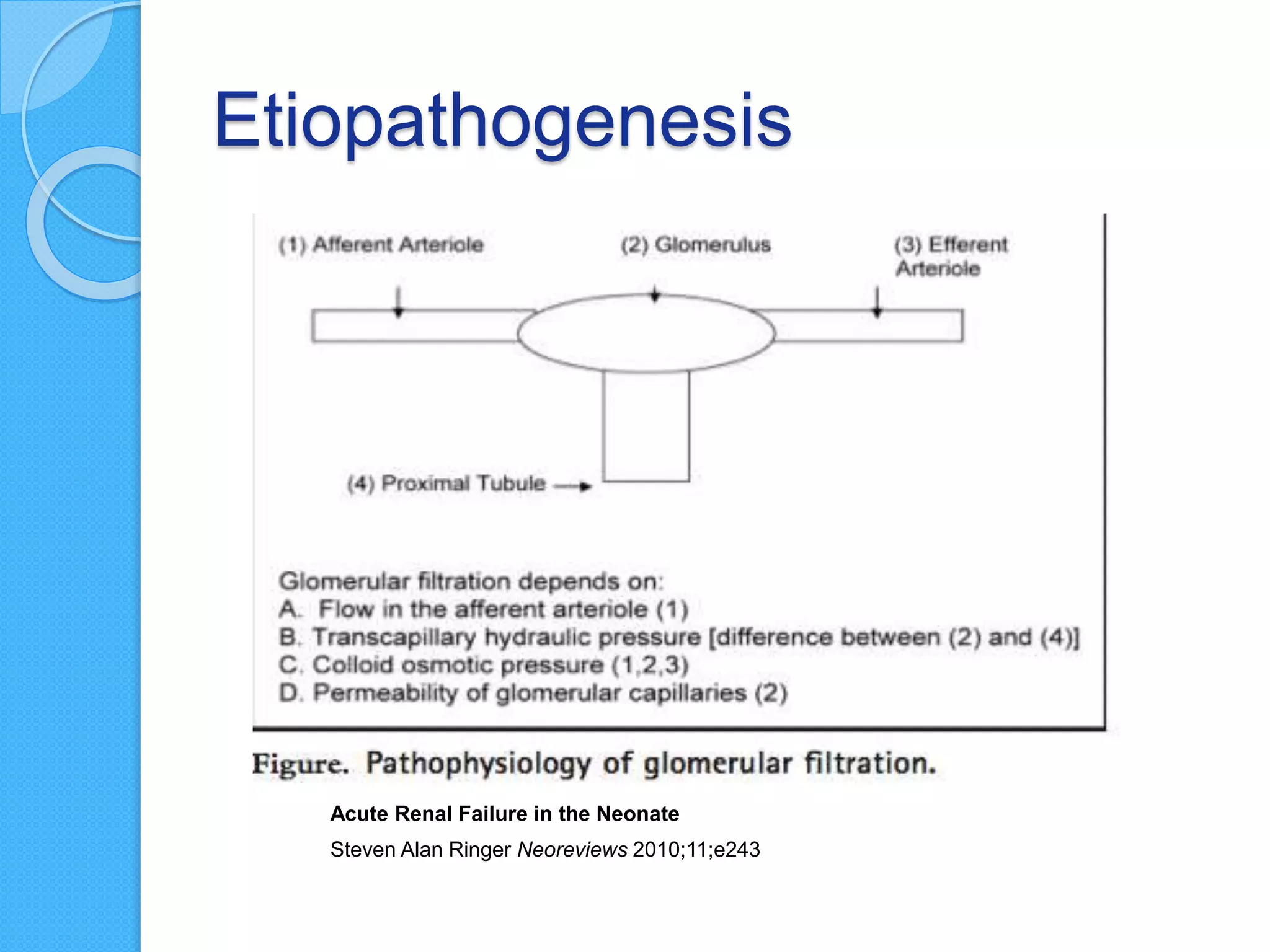 Etiopathogenesis
Acute Renal Failure in the Neonate
Steven Alan Ringer Neoreviews 2010;11;e243
 