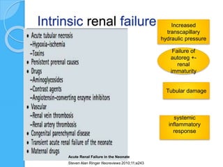 Intrinsic renal failure Increased
transcapillary
hydraulic pressure
Failure of
autoreg +-
renal
immaturity
Tubular damage
systemic
inflammatory
response
Acute Renal Failure in the Neonate
Steven Alan Ringer Neoreviews 2010;11;e243
 