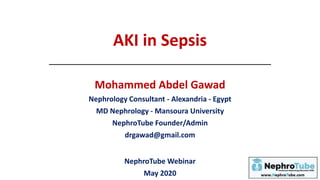 AKI in Sepsis
Mohammed Abdel Gawad
Nephrology Consultant - Alexandria - Egypt
MD Nephrology - Mansoura University
NephroTube Founder/Admin
drgawad@gmail.com
NephroTube Webinar
May 2020
 