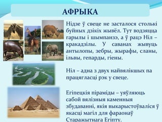 Егіпецкія піраміды – уяўляюць
сабой вялізныя каменныя
збудаванні, якія выкарыстоўваліся ў
якасці магіл для фараонаў
Старажытнага Егіпту.
Нідзе ў свеце не засталося столькі
буйных дзікіх жывёл. Тут водзяцца
гарылы і шымпанзэ, а ў рацэ Ніл –
кракадзілы. У саванах жывуць
антылопы, зебры, жырафы, сланы,
ільвы, гепарды, гіены.
Ніл – адна з двух найвялікшых па
працягласці рэк у свеце.
АФРЫКА
 