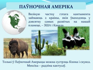 Вялікую частку гэтага кантынента
займаюць 2 краіны, якія ўваходзяць у
дзясятку самых развітых на нашай
планеце, – ЗША і Канада.
Толькі ў Паўночнай Амерыцы можна сустрэць бізона і скунса.
Мексіка – радзіма кактусаў.
ПАЎНОЧНАЯ АМЕРІКА
 