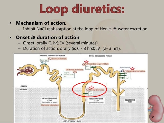 aki lecture lasix mechanism of action