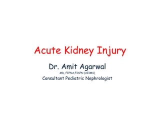 Acute Kidney Injury
Dr. Amit Agarwal
MD, FIPNA,FISPN (AIIMS)
Consultant Pediatric Nephrologist
 