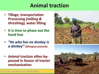 Livestock and Economic Well-being in Africa