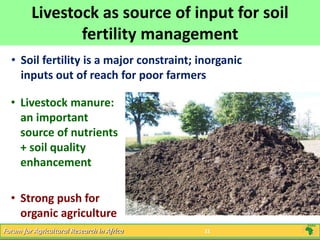 Livestock and Economic Well-being in Africa