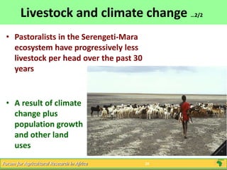 Livestock and Economic Well-being in Africa