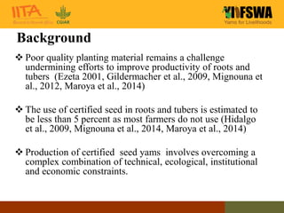 Cost of seed yam tuber production using Temporary Immersion Bioreactor ...