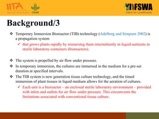 Cost of seed yam tuber production using Temporary Immersion Bioreactor ...