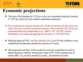 Cost of seed yam tuber production using Temporary Immersion Bioreactor ...