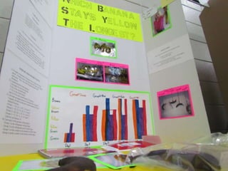 Akin Road Elementary School Science Fair