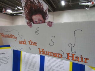 Akin Road Elementary School Science Fair