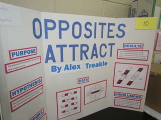 Akin Road Elementary School Science Fair