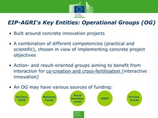 EIP-AGRI's Key Entities: Operational Groups (OG)
• Built around concrete innovation projects
• A combination of different competencies (practical and
scientific), chosen in view of implementing concrete project
objectives
• Action- and result-oriented groups aiming to benefit from
interaction for co-creation and cross-fertilisation (interactive
innovation)
• An OG may have various sources of funding:
Horizon
2020
National
Funds
Rural
Develop-
ment
ERDF
Private
Funds
 