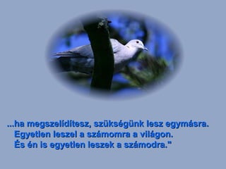 ...ha megszelídítesz, szükségünk lesz egymásra.
Egyetlen leszel a számomra a világon.
És én is egyetlen leszek a számodra."

 