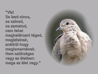 "Víz!
Se ízed nincs,
se színed,
se zamatod,
nem lehet
meghatározni téged,
megízlelnek,
anélkül hogy
megismernének.
Nem szükséges
vagy az életben:
maga az élet vagy."

 