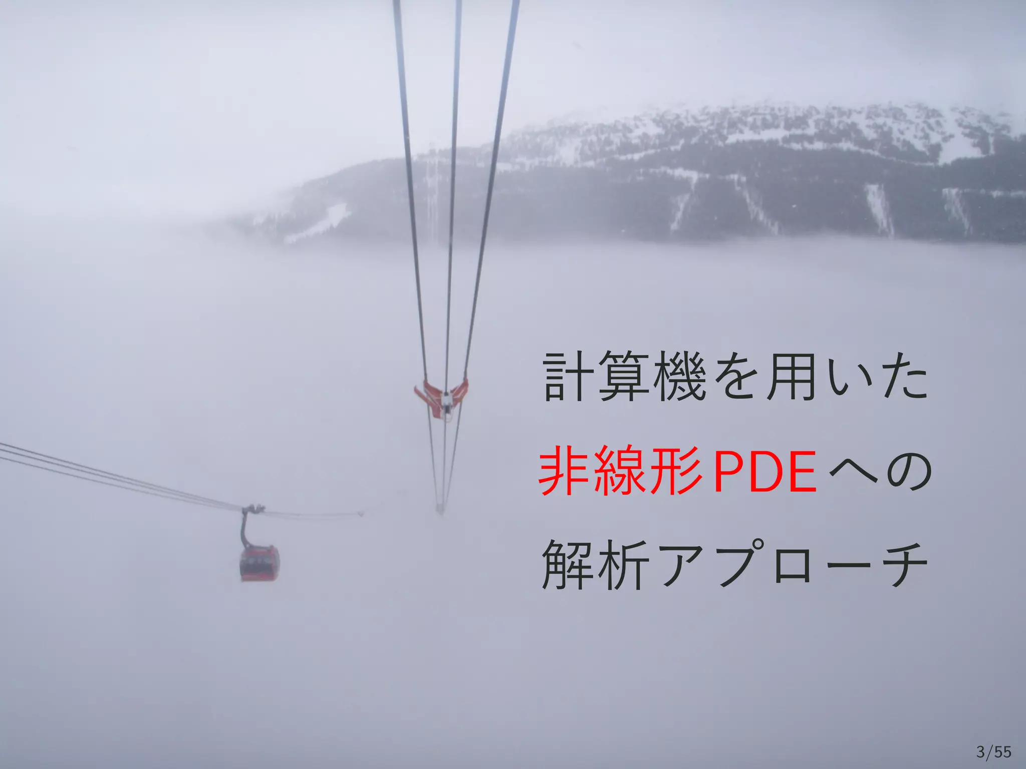 計算機を用いた
非線形PDEへの
解析アプローチ
3/55
 