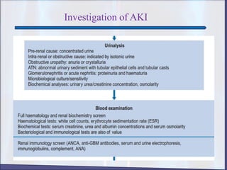 Investigation of AKI
 