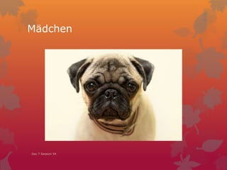 Mädchen
Dec 7 Session 54
 